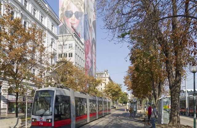 UBICACIÓN PRIME 1 CAMA APT. "SCHOTTENRING"