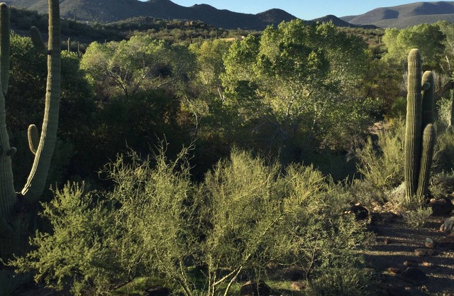 Casita privada en Cave Creek