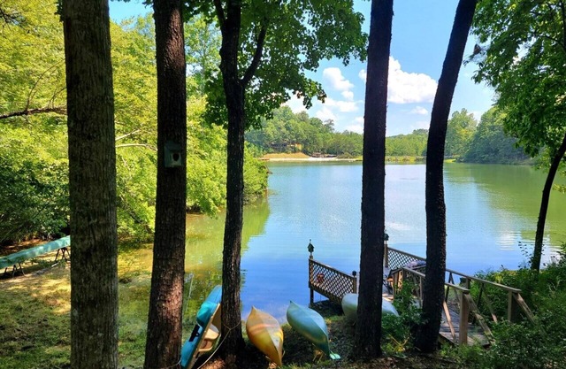 Private log cabin on the lake! Beach/waterfall/ dogs.