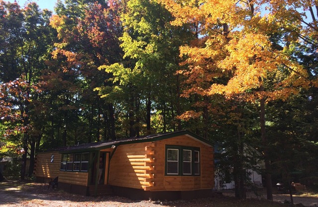 Private 'Mountain Cabin: middle of Everything!
