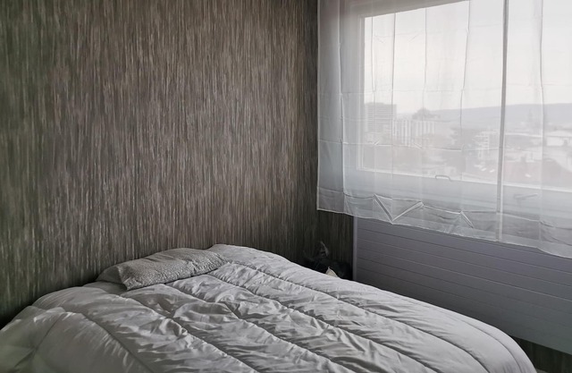 Private room of 10 m2 in large apartment of 96m2, Nancy center