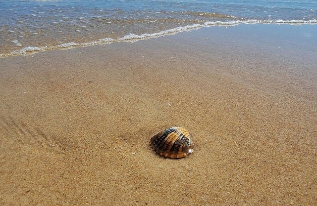 Entorno privilegiado junto a las playas del Algarve.