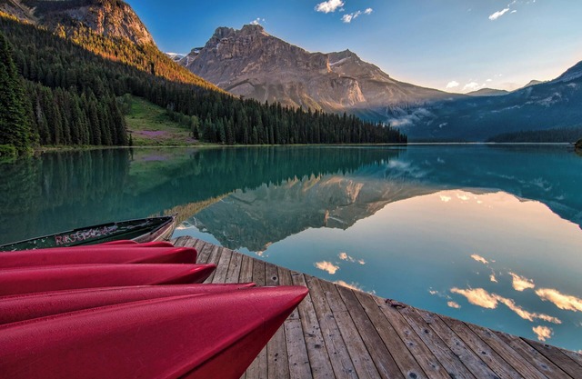 Provide more sustainable and Eco-friendly travel!!