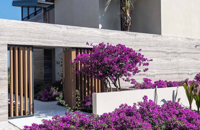 Punta Pacífico Siete in Pacífico Estates by Mita Residential. Staff, Golf Carts, Cinema, Pool