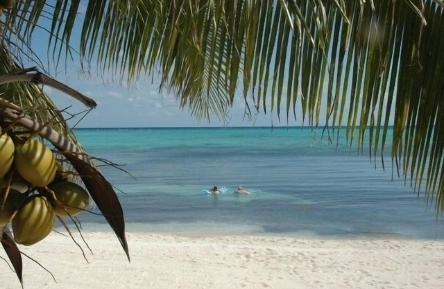 Playa tranquila, agua turquesa para bucear, venga a relajarse en el paraíso
