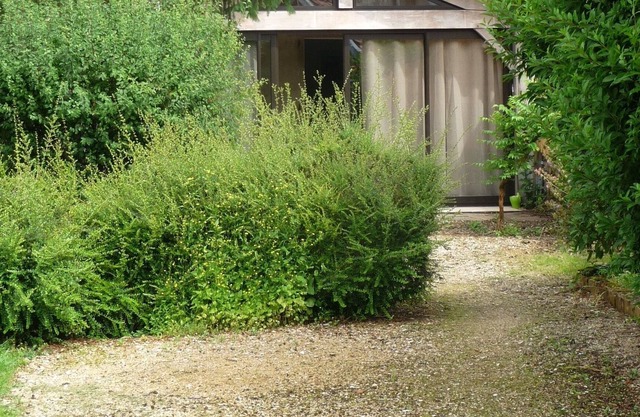 Casa rural tranquila con gran jardín de 1400 m2 en el pueblo de St Antonin y WIFI