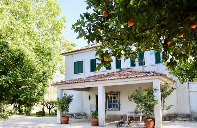 Quinta da Barreira - Villa excepcional situada en un hermoso viñedo