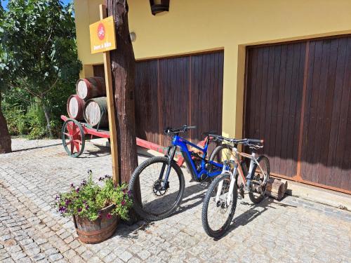 Quinta de Carcavelos Agroturismo e Enoturismo