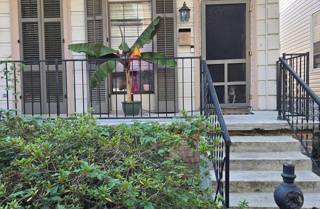 Quirky & Endearing Shotgun Style Home - 5 MIN WALK TO SUPERDOME