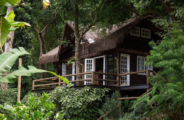 Rain Forest Paradise 2