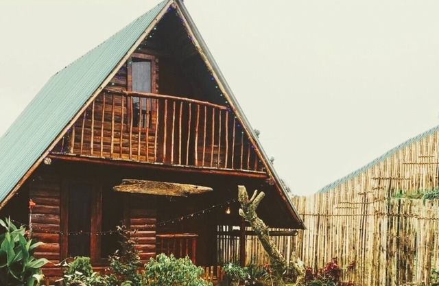 La cabaña REDWOOD HOLLOW es la estadía ecológica de tus sueños