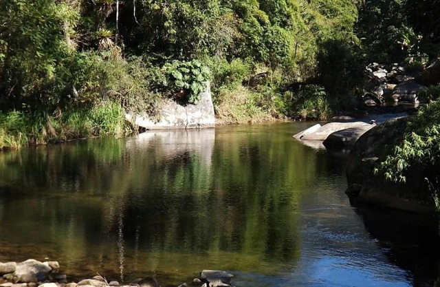 Refúgio Guapuruvu
