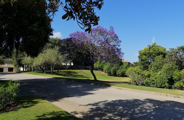 CASAS REFORMADA Y MUY BIEN AMUEBLADA, LINDANDO CON EL CLUB DE GOLF DE VALDERRAMA