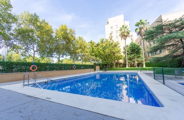 RentalSevilla Navegando por el Guadalquivir