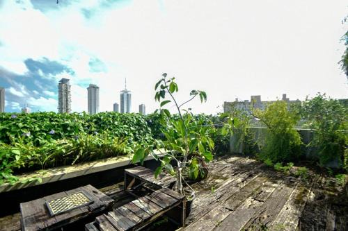 RIPA Urban Hideout