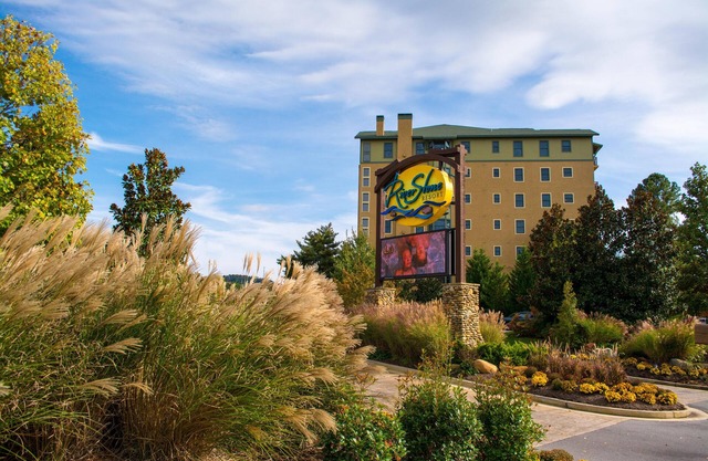 5 minutos: Ripken / Dollywood / LeConte Convention, 3BR / Golf View, piscina cubierta, gimnasio, PS4, SPA