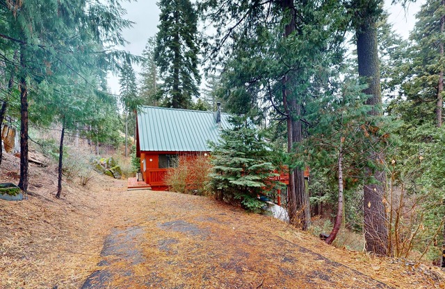 Cabaña rústica que admite perros en el bosque, perfecta para escapadas durante todo el año