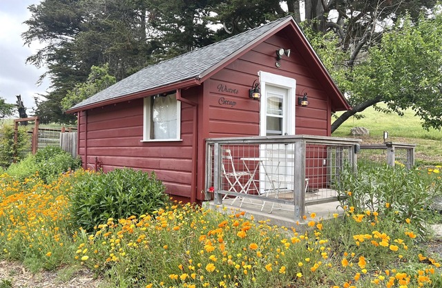 Acogedora cabaña de estudio en West Marin Rancho de ganado orgánico