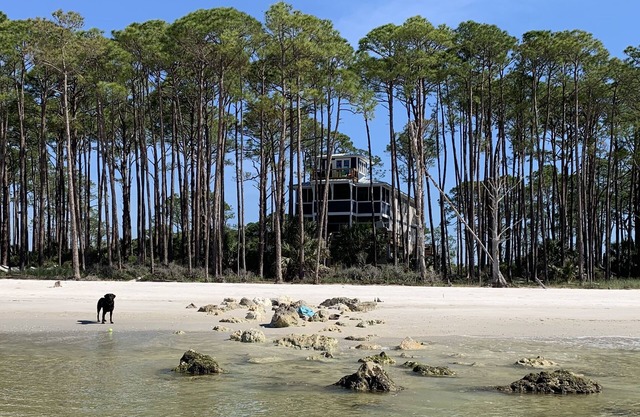 Sand Point South en Alligator Point