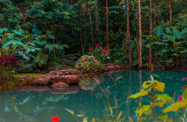 Santuario de Ranas Valle Azul
