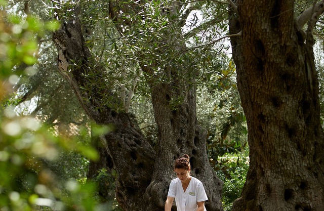 Sappho Hotel