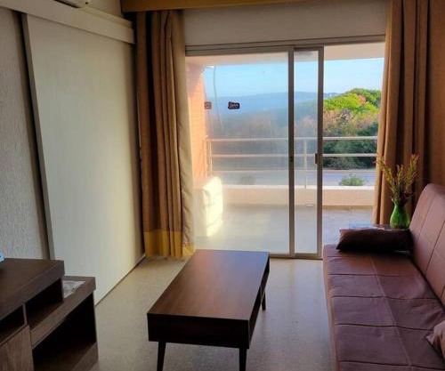 Sea view apartment in front of Playa Mansa in Punta del Este