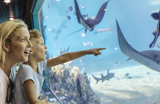 Sea World Resort