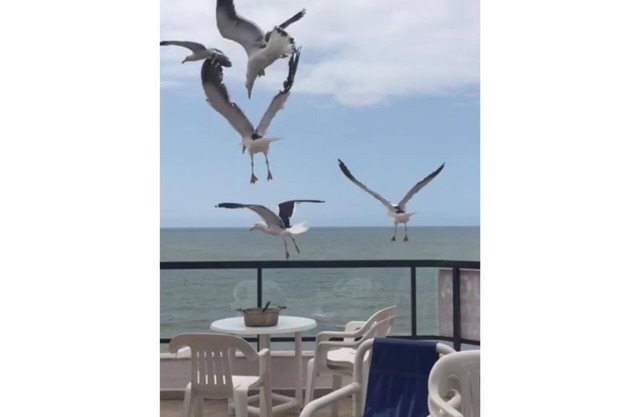 Vrbo Property