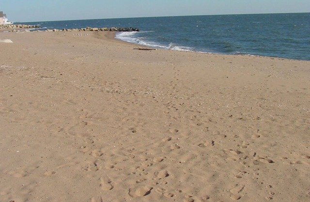 Destino de entrada de New Haven, playas, Yale