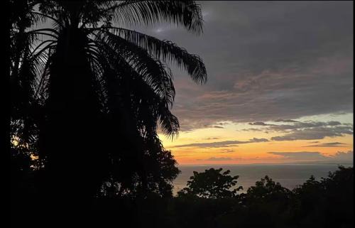Seaview studio's, free breakfast & park tour