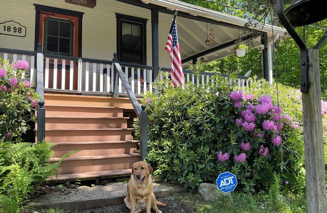 Secluded, 1898 Farmhouse on 100 acres with mountaintop views. A hiker’s paradise