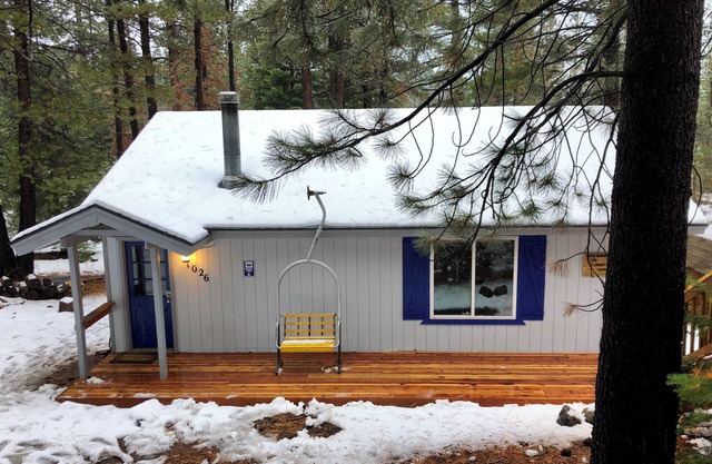 Secluded Tahoe cabin, minutes from skiing & the lake. Large yard & pet friendly!