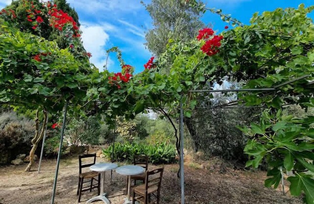 Secret Garden Hideaway in Kefalonia
