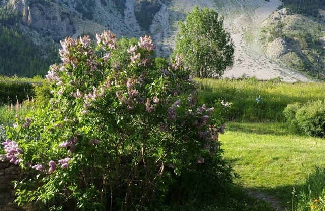 Varios apartamentos / casas en alquiler en un hermoso valle en Francia