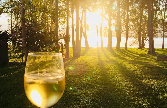 Delicia de la culebrilla (14 personas)