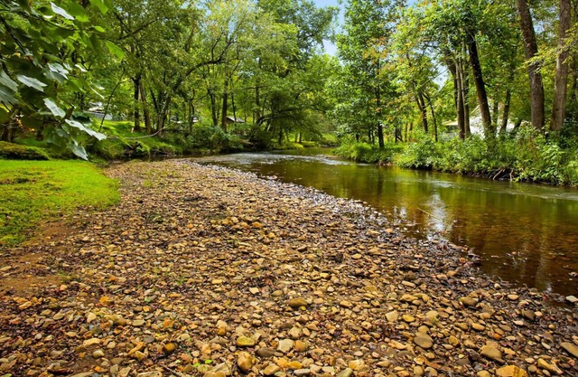 Shooting Creek Cottage Walk n' Creek Fronatge! Close to Lake Chatuge! Fish WiFi