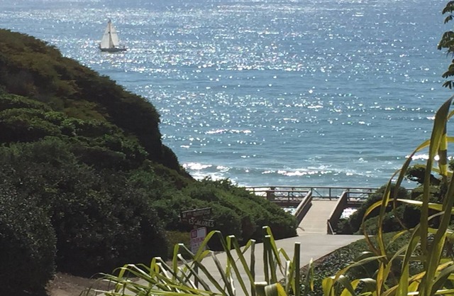 IRDIRECTAMENTE A LA CALLE DE LA PLAYA - PASOS A LA ARENA - PASEO A LA CIUDAD Y RESTAURANTES
