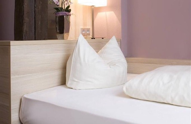 Habitación individual Ambiente Klassik - Ringhotel Nassau-Oranien