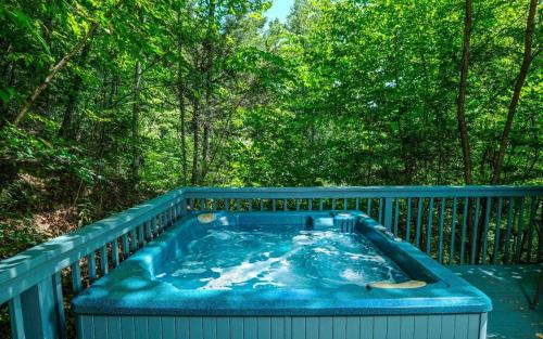 Ski Mountain Hideaway 1154