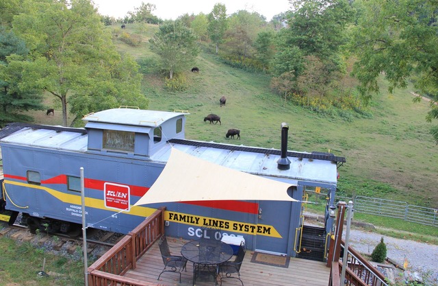 ¡Duerme en un furgón de cola en un rancho de búfalos de 65 acres!