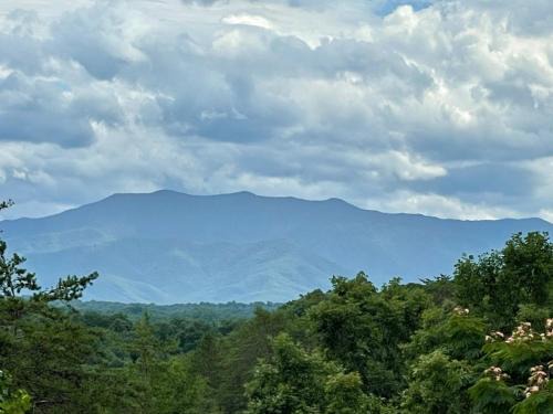 Sleeps 22, mountain view, game room, pet friendly!