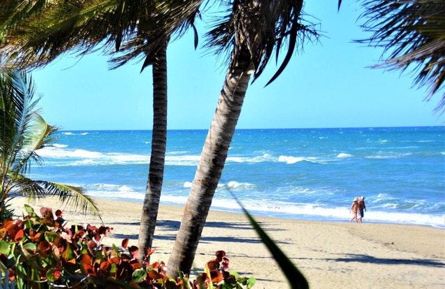 Sosua Bachelor Party 10 BR Beachfront Mini Resort BONIFICACIONES GRATUITAS
