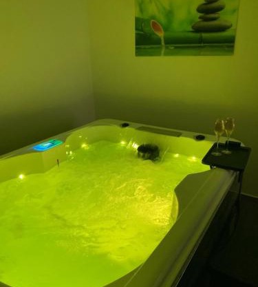 SPA jardin privé T3 indépendant dans Villa