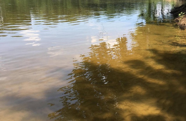 Frente al río !!! 3 millas de Opryland, a 10 minutos del centro de Nashville