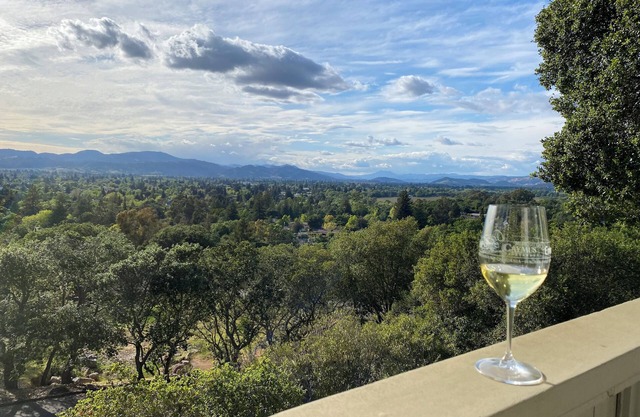 Spectacular 4-bedroom mid-century modern home, one mile from Downtown Napa!