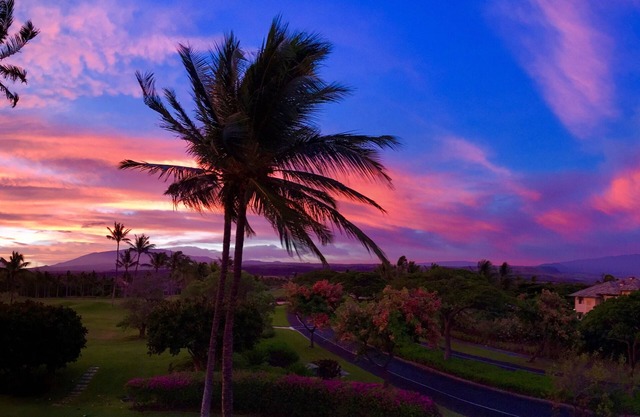 Vistas increíbles en el paraíso tropical (F 206): camine hasta la hermosa playa y las tiendas.