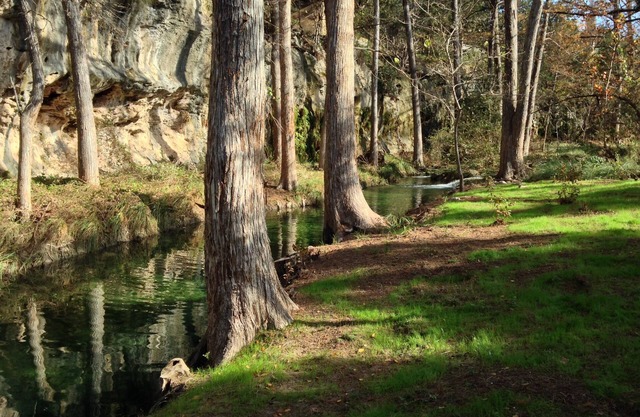 Fabulosa casa espaciosa en Creek-Relax en Hill Country con Texas Bluebonnets