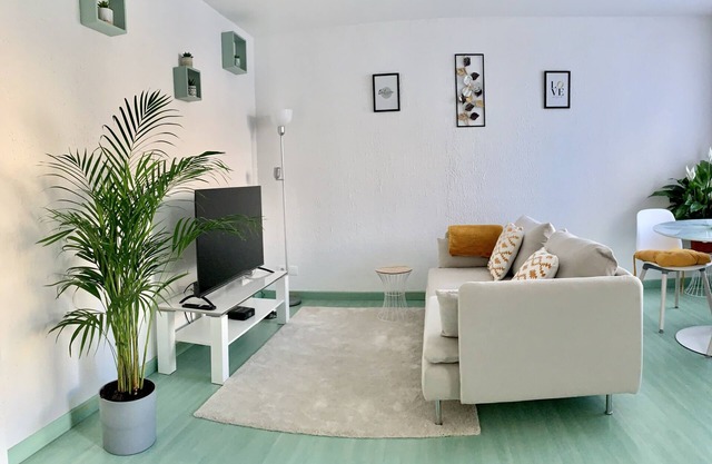Springfield Appartement - En Plein Schiltigheim