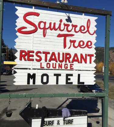 Squirrel Tree Resort