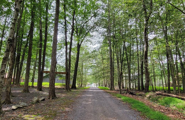 Steps 2 Lake, 3 Bedrm cabin w/ bonus Loft, 2 full Baths, Pool Table, 2 Kayaks